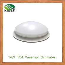 Dimmable Emergency Ceiling Lamp 2D Lamp